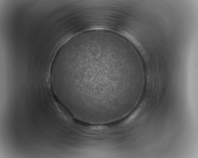 X0000089691129200707051620