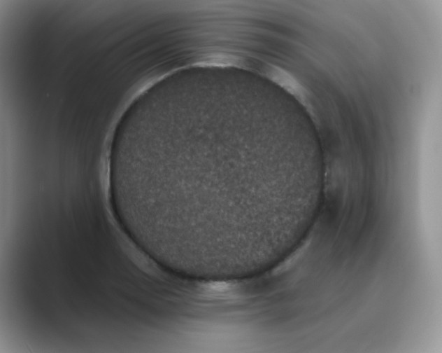 X0000089691130200707051620