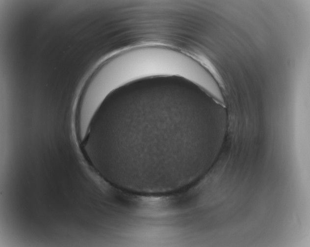 X0000089691132200707051620