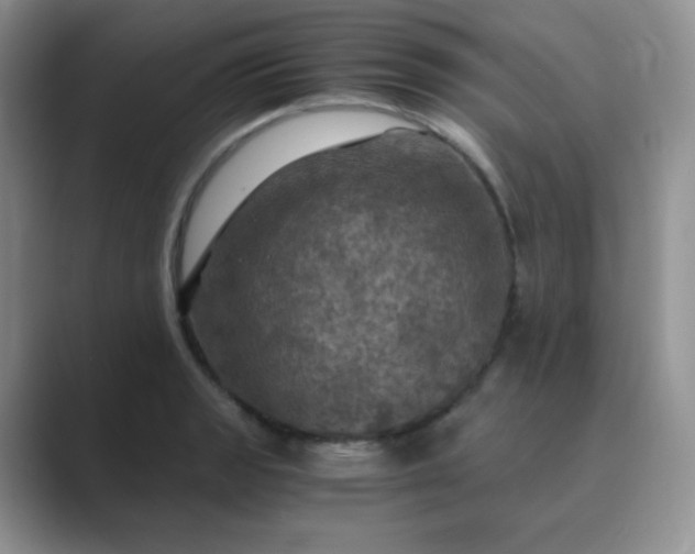 X0000089691133200707051620