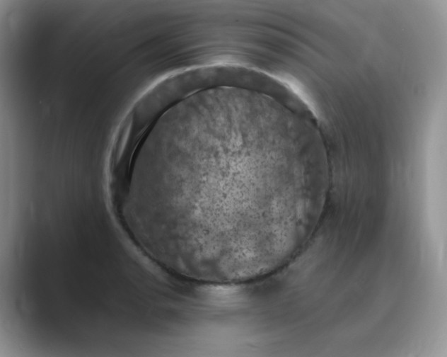 X0000089691134200707051620