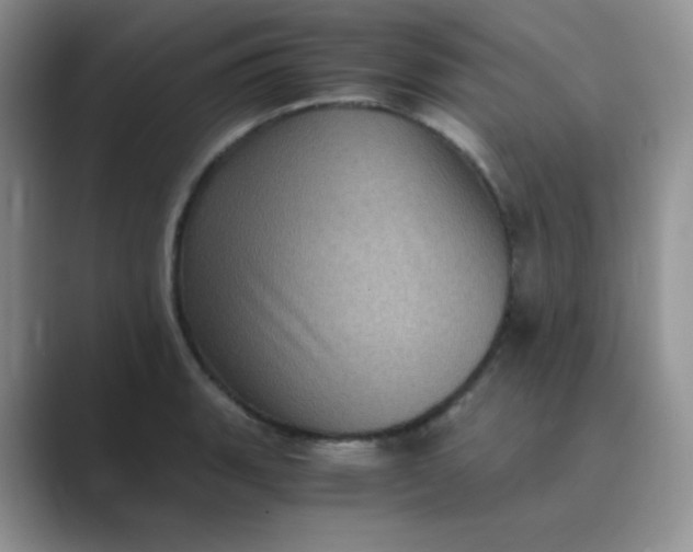 X0000089691135200707051620