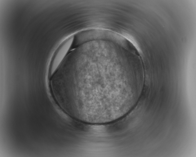 X0000089691136200707051620