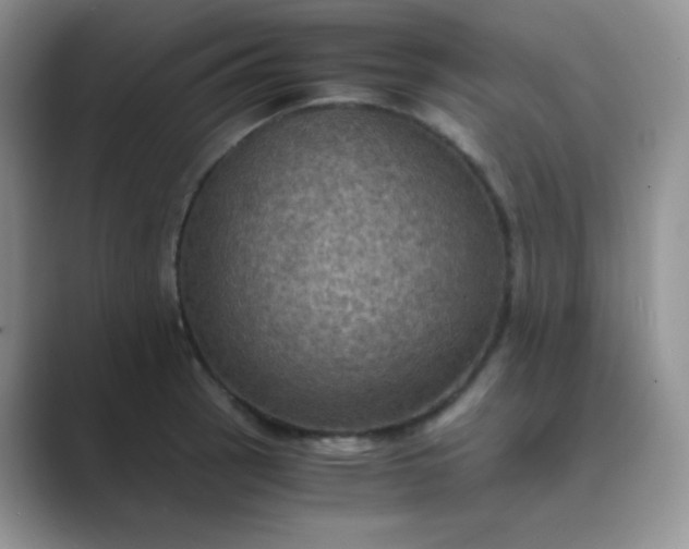 X0000089691137200707051620