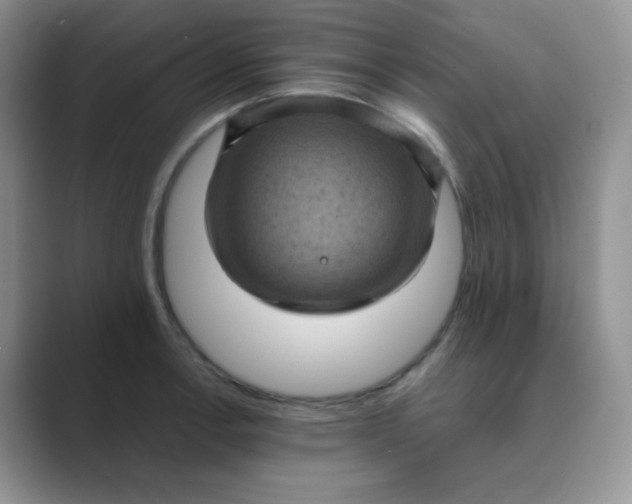 X0000089691138200707051620