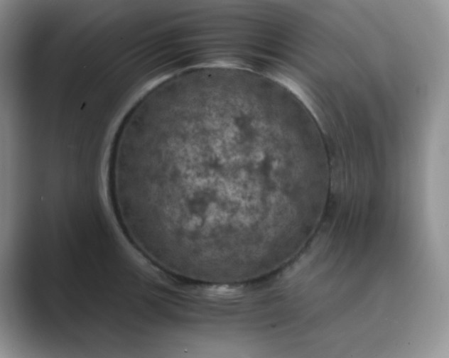 X0000089691139200707051620