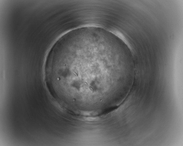 X0000089691140200707051620