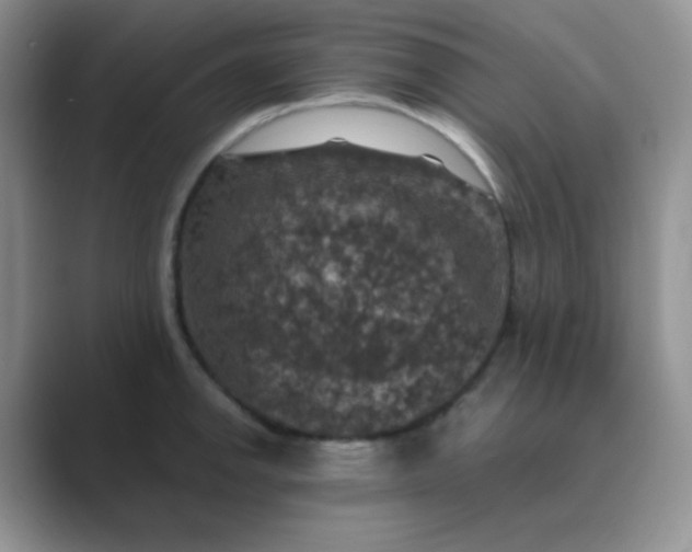 X0000089691142200707051620