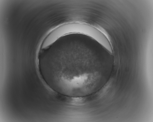 X0000089691144200707051620