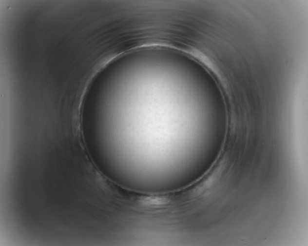 X0000089691145200707051620