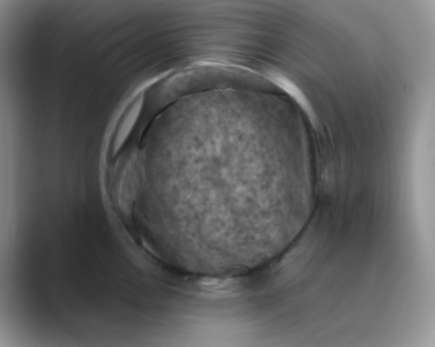 X0000089691146200707051620