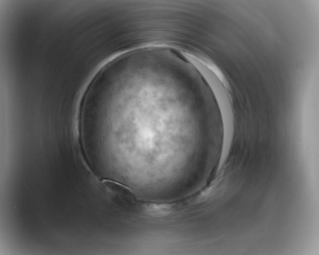 X0000089691148200707051620