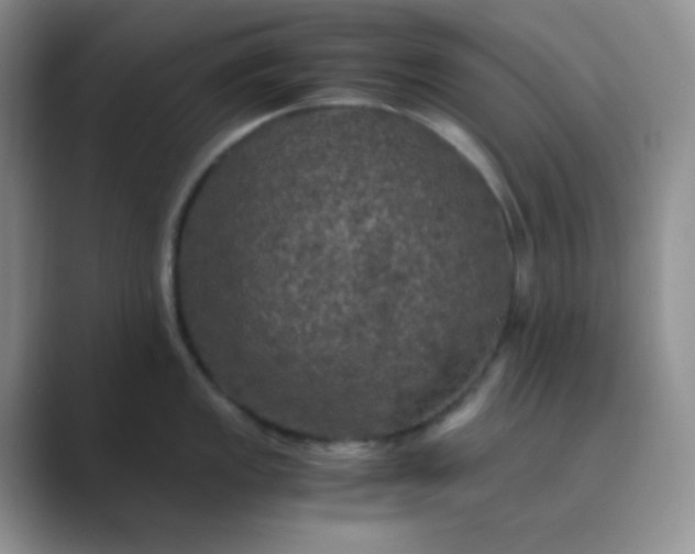 X0000089691149200707051620