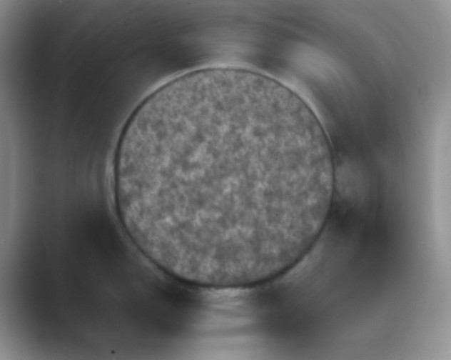 X0000089691150200707051620