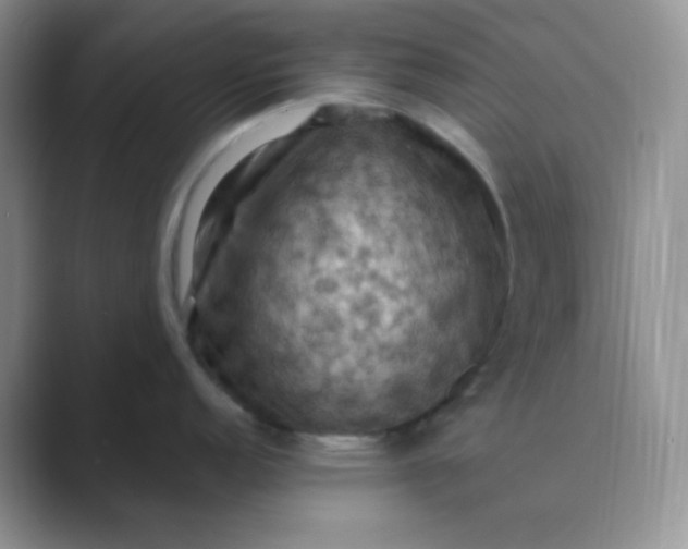 X0000089691152200707051620