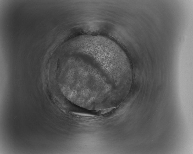 X0000089691153200707051619