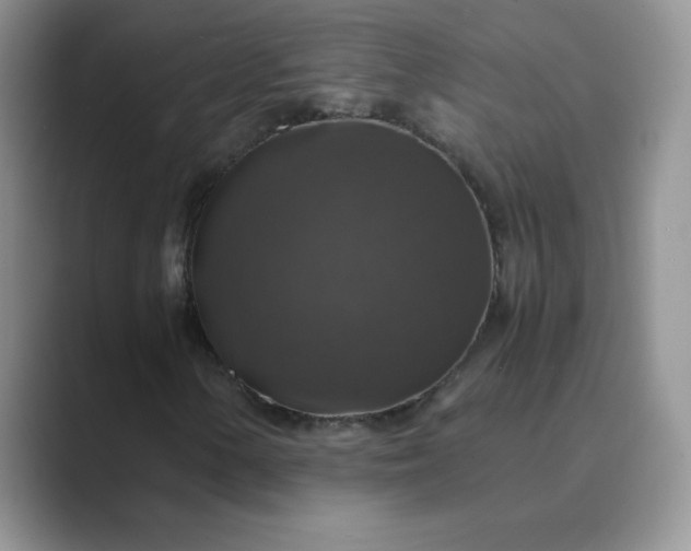 X0000089691154200707051619