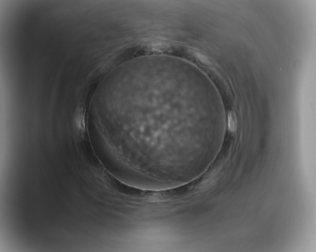 X0000089691155200707051619