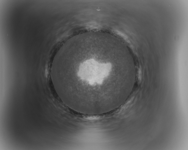 X0000089691157200707051619