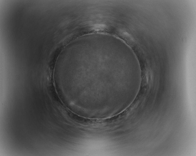 X0000089691158200707051619