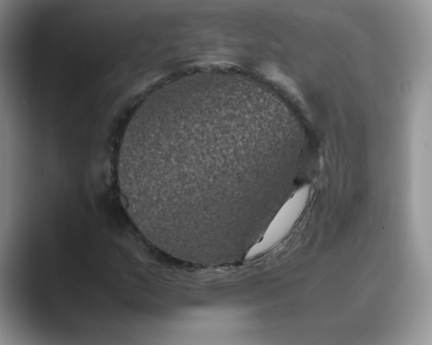 X0000089691159200707051619