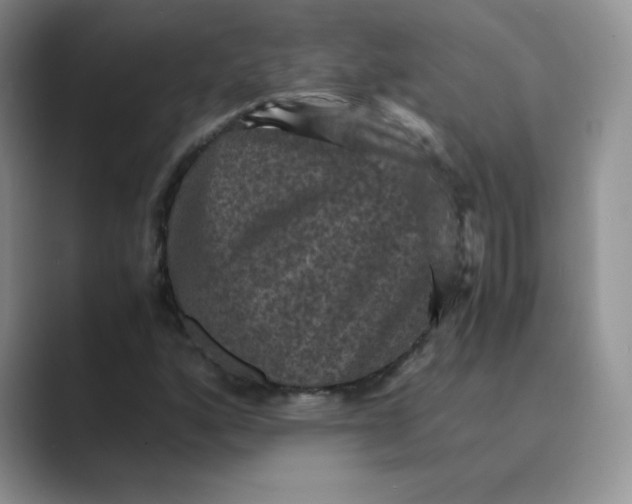 X0000089691160200707051619