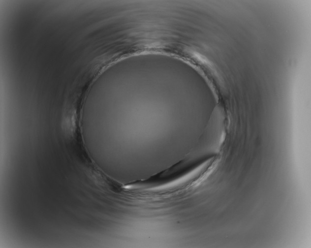 X0000089691161200707051619