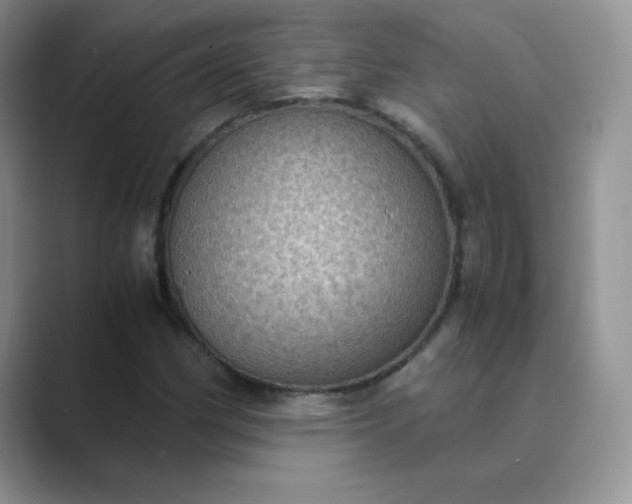 X0000089691162200707051619