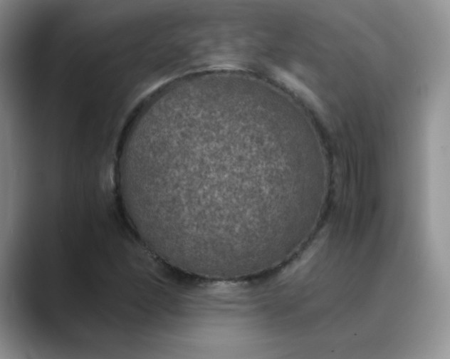 X0000089691166200707051619