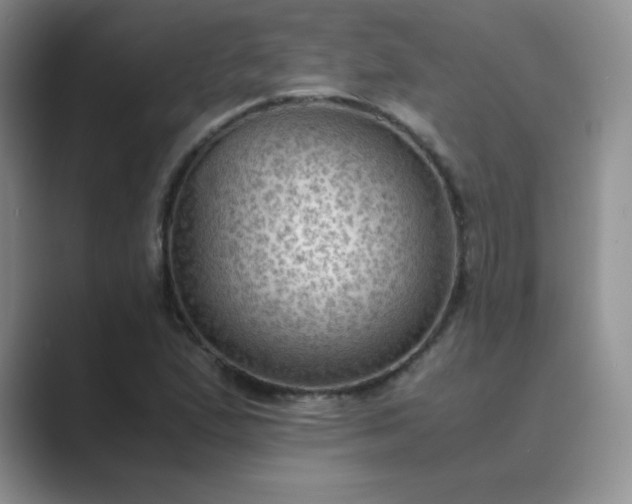 X0000089691167200707051619