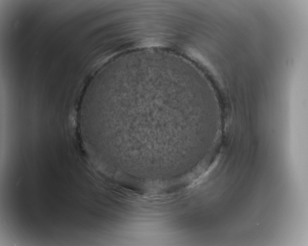 X0000089691169200707051619