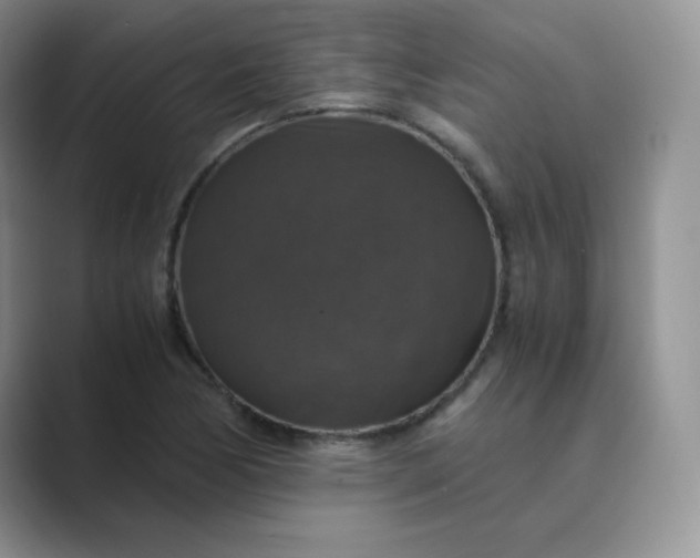 X0000089691170200707051619