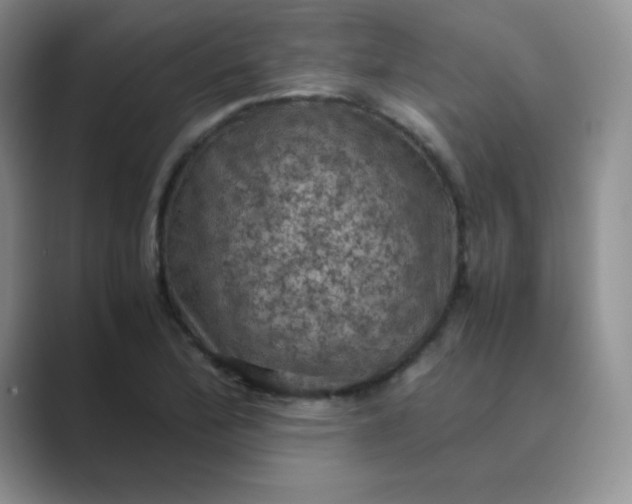 X0000089691172200707051619