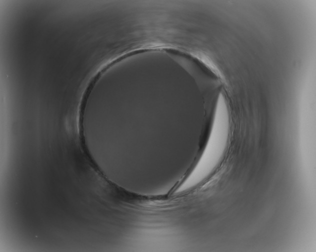 X0000089691173200707051619