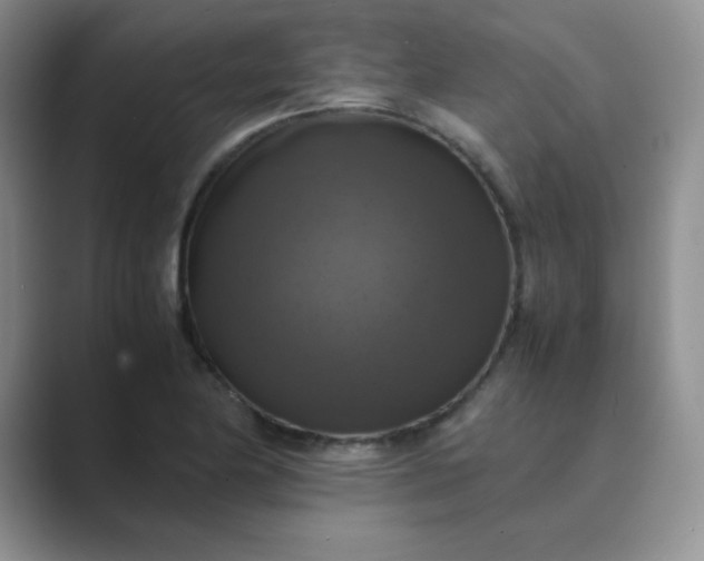 X0000089691174200707051619