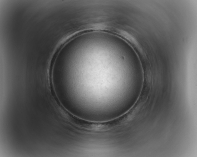 X0000089691176200707051619