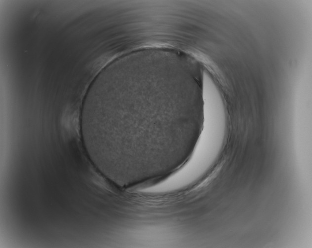 X0000089691177200707051619