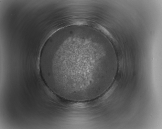 X0000089691178200707051619