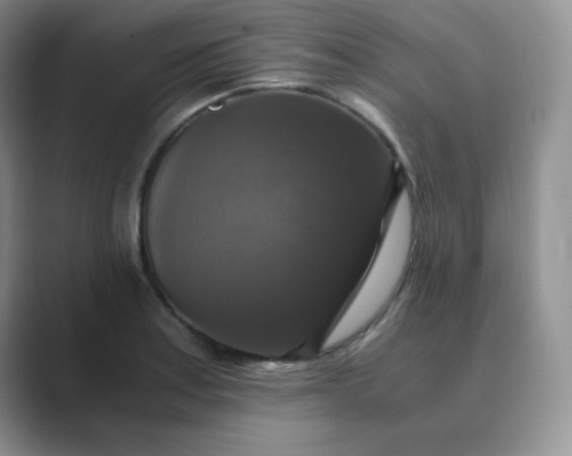 X0000089691179200707051619