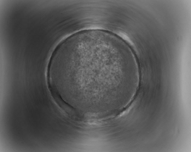 X0000089691181200707051619