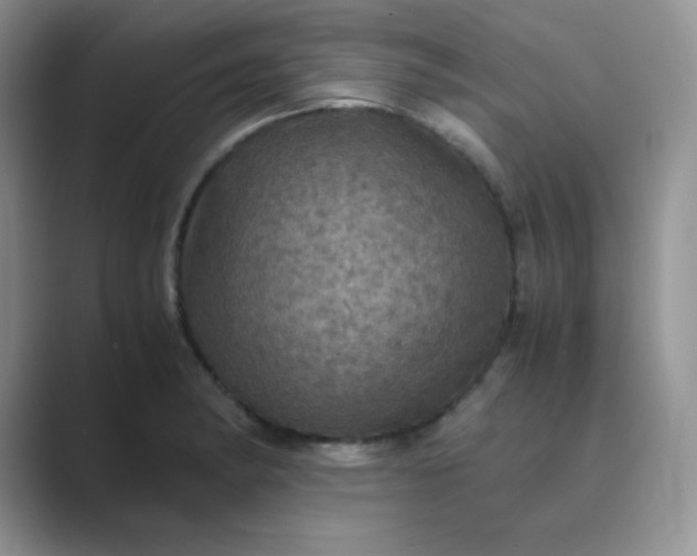 X0000089691182200707051619