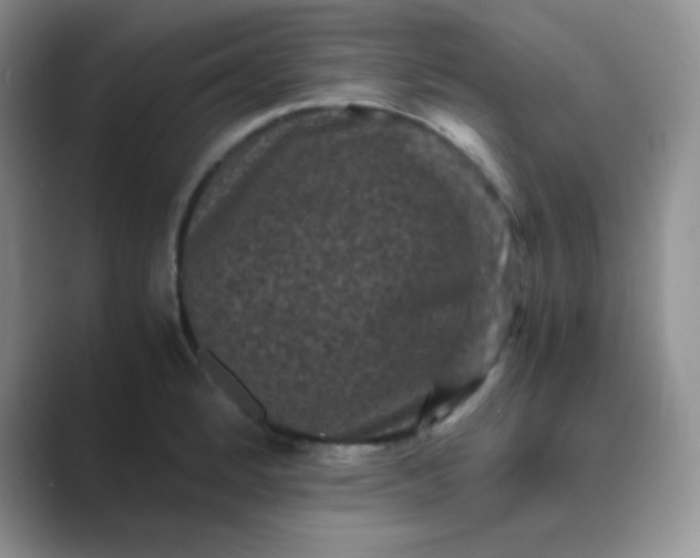 X0000089691184200707051619