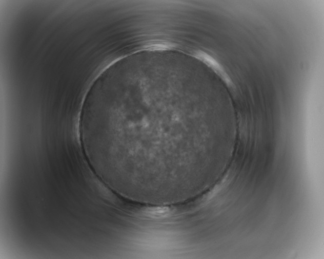 X0000089691186200707051619