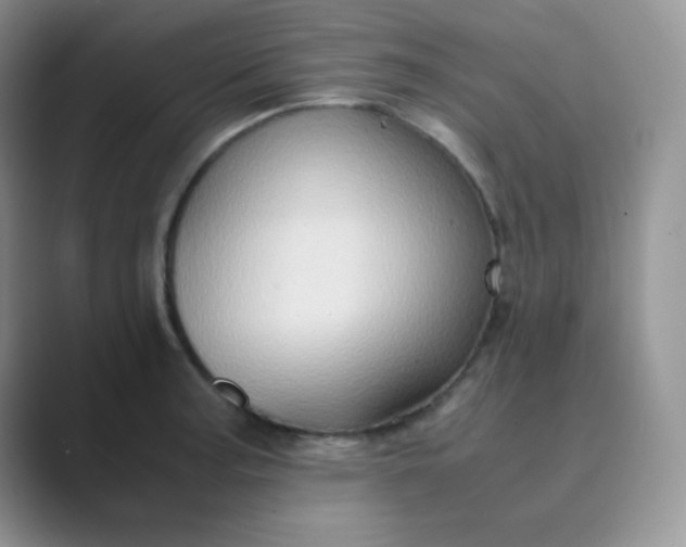 X0000089691187200707051619