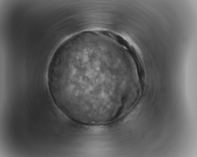 X0000089691189200707051619