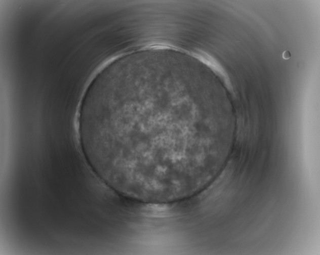 X0000089691190200707051619