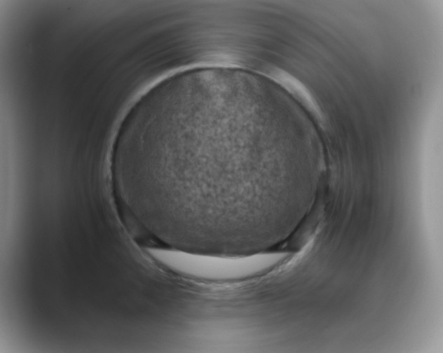 X0000089691192200707051619