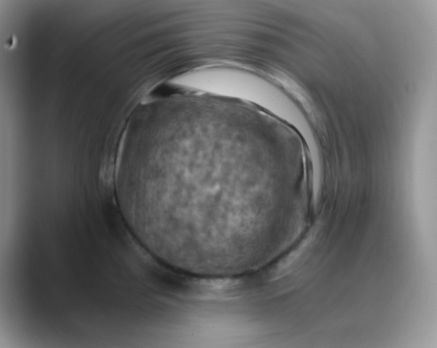 X0000089691193200707051619