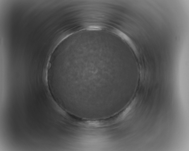 X0000089691194200707051619