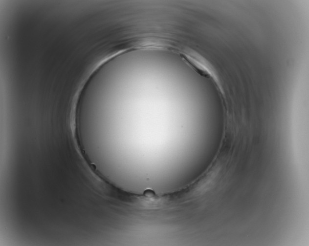 X0000089691195200707051619